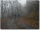 2003.11.30.Börzsöny-02.jpg