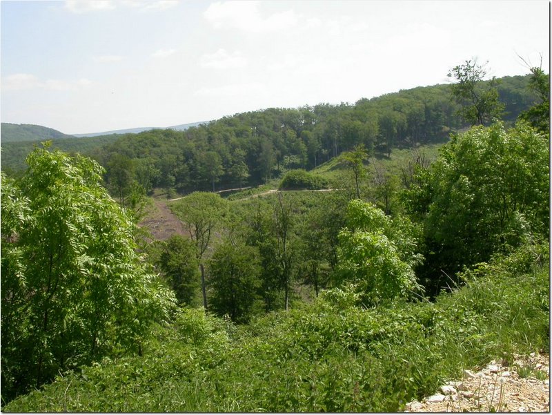 2004.05.15.Bakony-12.jpg