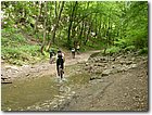 2004.05.15.Bakony-16.jpg
