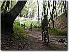 2004.08.14.Vertes-01.jpg