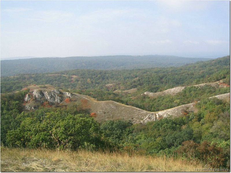 2004.10.02.Kozma60-42.jpg