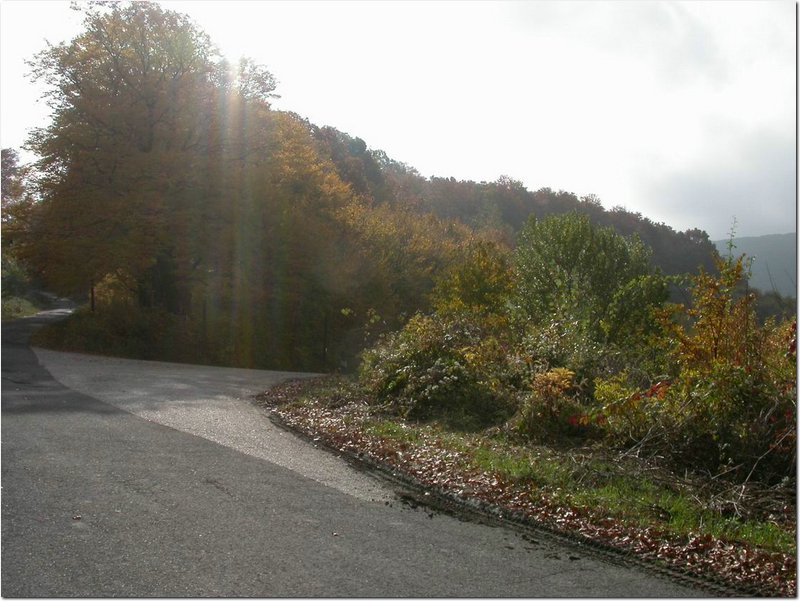 2004.10.24.Pilis-06.jpg