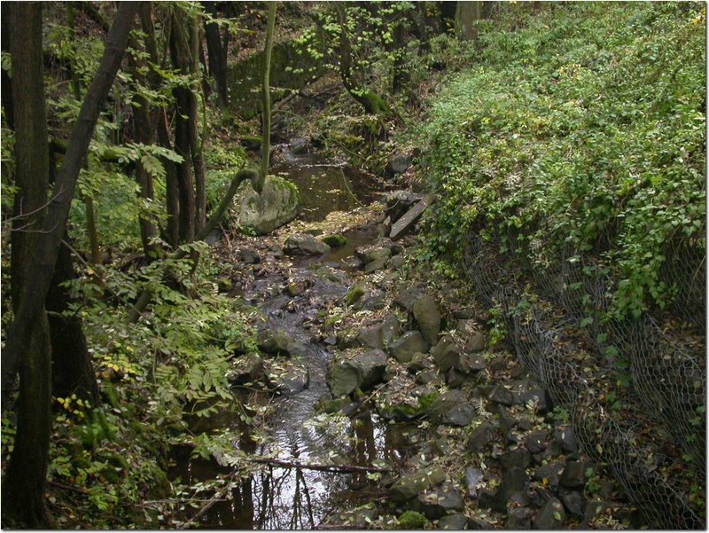 2004.10.24.Pilis-10.jpg
