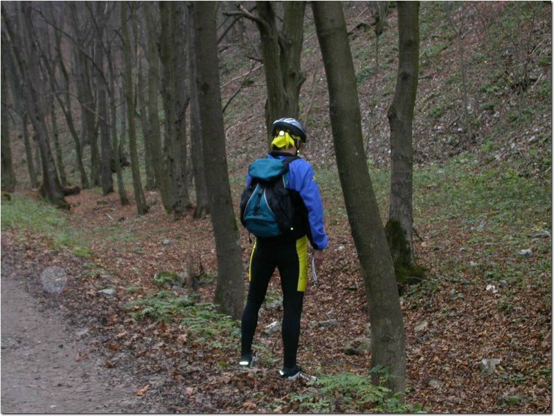 2004.11.06.Bükk-08.jpg