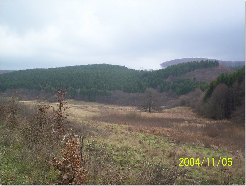 2004.11.06.Bükk-10.jpg