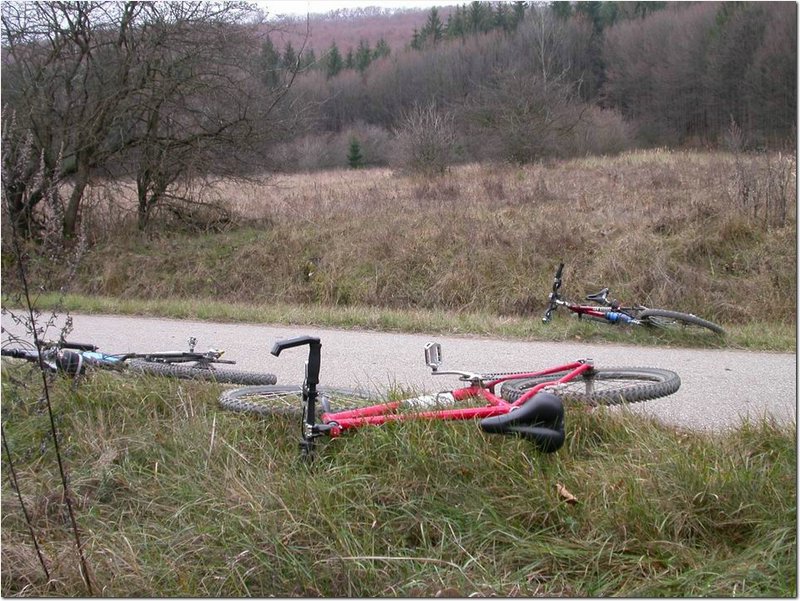 2004.11.06.Bükk-14.jpg