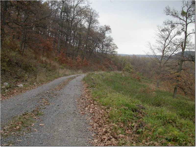 2004.11.06.Bükk-17.jpg