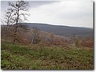 2004.11.06.Bükk-18.jpg