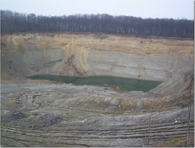2004.12.11.Vertes-08.jpg