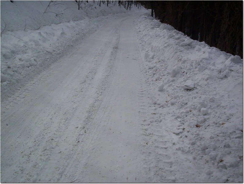 100_5996.jpg