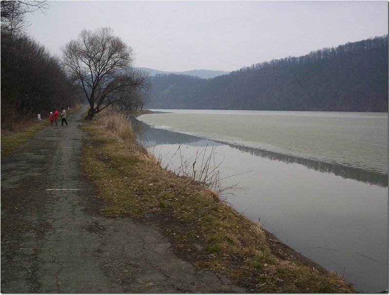 100_6062.jpg