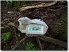 100_6157.jpg
