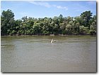 100_6592.jpg