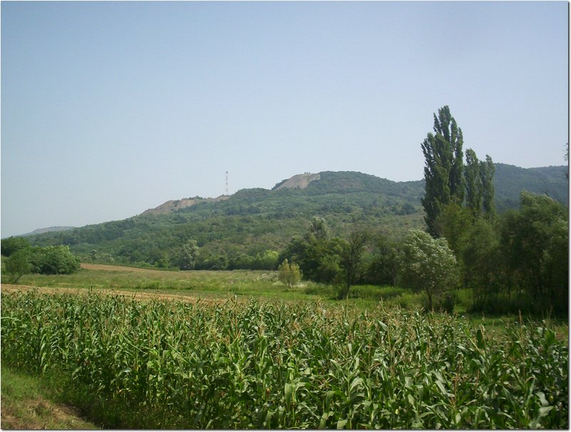 100_6767.jpg