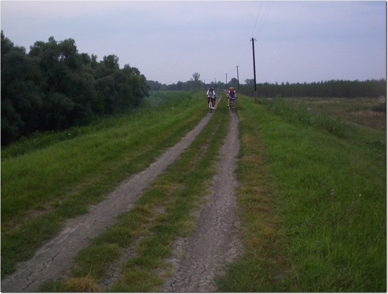 100_6890.jpg
