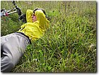 100_7012.jpg