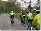 P5060009.jpg