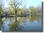 DSC00372.JPG