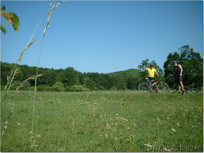 DSCF0006.JPG