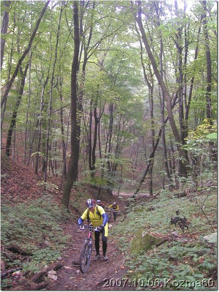 PA060066.jpg