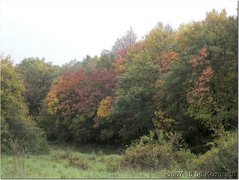 PA060117.jpg