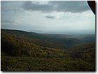 DSCF0021.JPG
