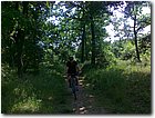 20110521382.jpg