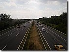 P8161538.JPG