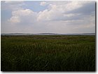 P8161539.JPG