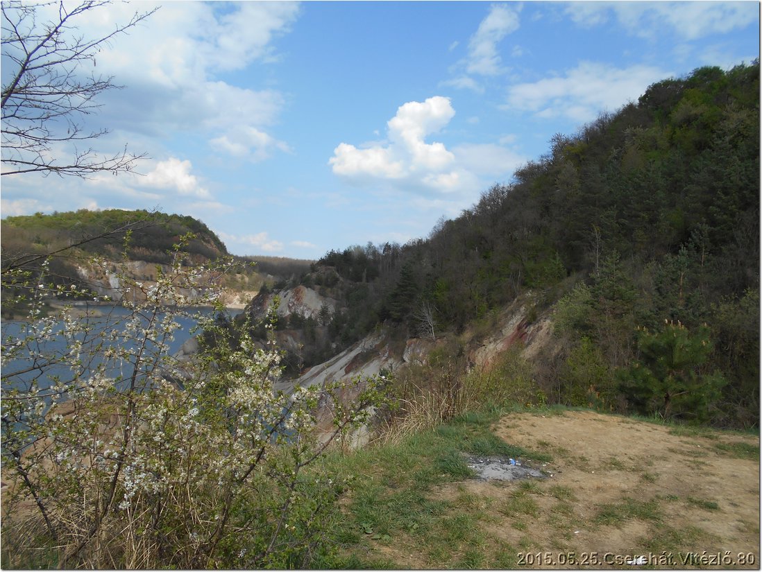 DSCN0741.jpg