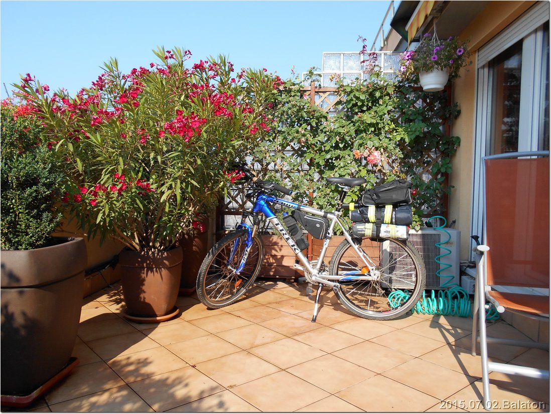 DSCN0806.jpg