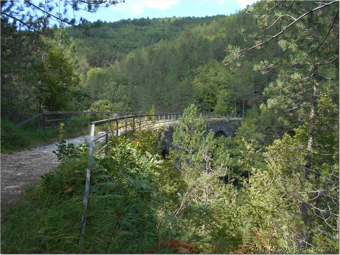 DSCN0894.jpg