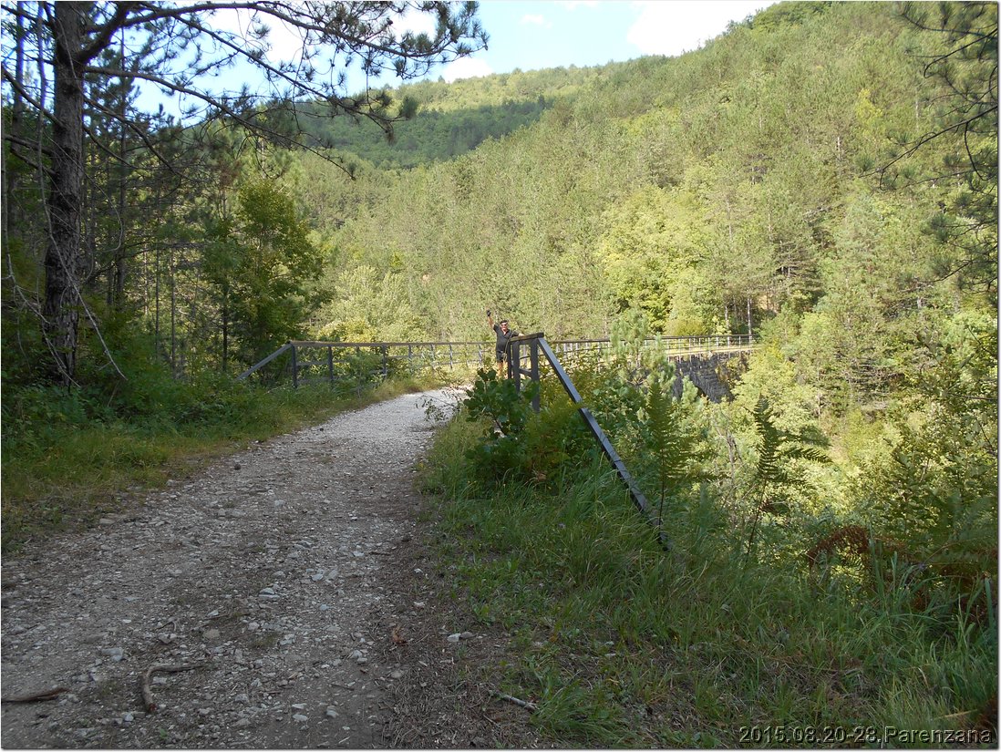 DSCN0895.jpg
