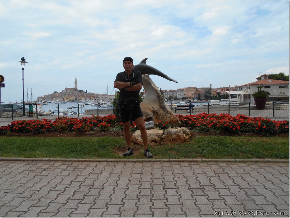 DSCN0928.jpg