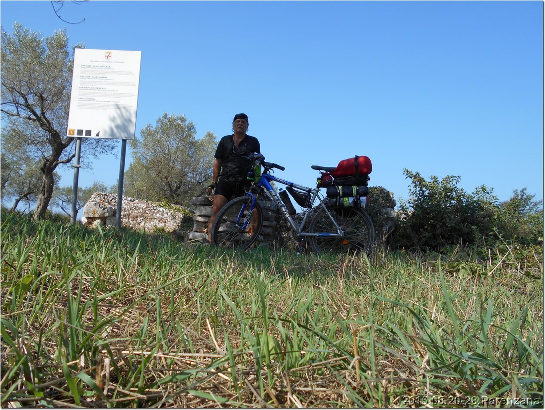 DSCN0934.jpg