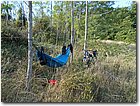 DSCN0908.jpg