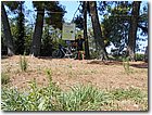 DSCN0910.jpg