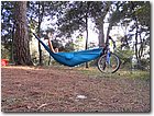 DSCN0921.jpg