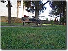 DSCN0949.jpg