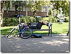 DSCN0963.jpg