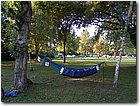 DSCN0997.jpg