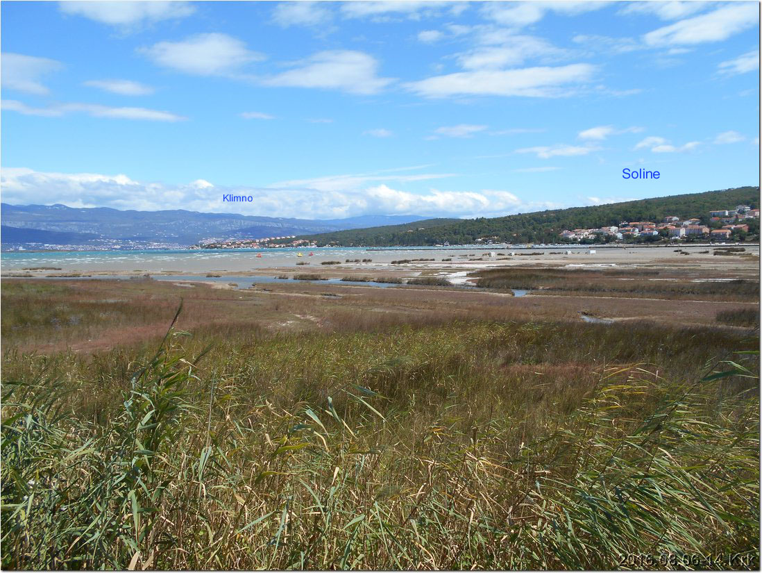 DSCN1086.jpg