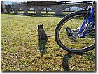 DSCN1172.jpg